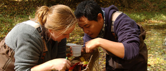 Students of the zoology graduate program inspecting creek contents